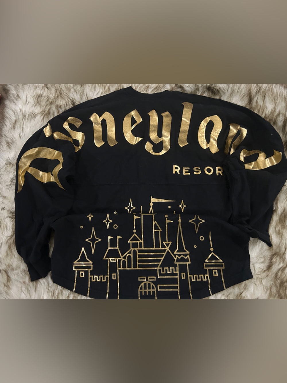 Disneyland Spirit Jersey